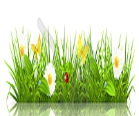 Зеленая трава, 10eps - изображение в векторе / векторный клипарт